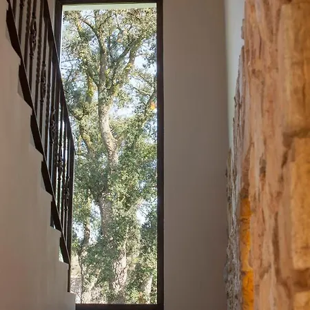 Villa Cedre Llica d'Amunt
