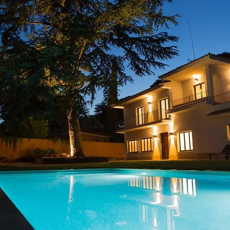 Cedre Villa Llica d'Amunt