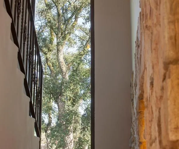 Villa Cedre Llica d'Amunt